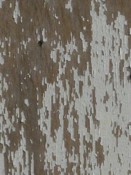 White painted wood texture, covered with various chips and scratches, and brown wood visible underneath.